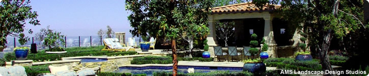 Backyard Ideas