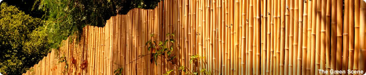 Fencing