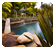 Landscaping Pictures