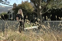 Concrete Walls for Front Yard Privacy