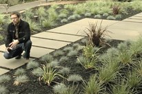 Plants for Modern Landscaping