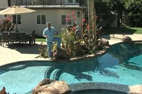 Tropical Backyard Pool & Spa Ideas