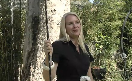 Video: Backyard Tree Swing - Landscaping Network